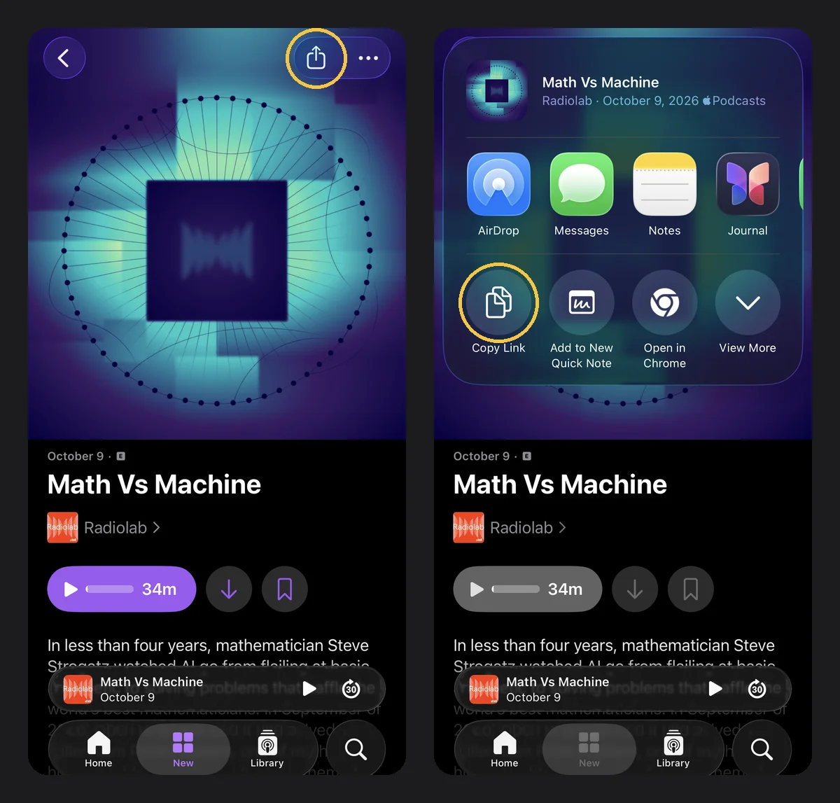 Apple Podcasts iPhone App 中 Math Vs Machine 的两张截图。第一张是单集页面，分享按钮已圈出。第二张是分享面板，Copy Link 按钮已圈出。